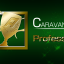CARAVAN MODE 50,000 points achievement