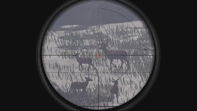 Deer Hunter Reloaded screenshot 12556